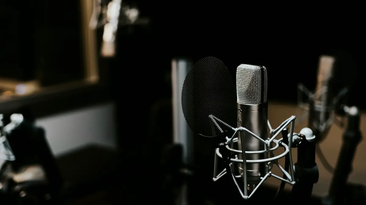 A studio condenser microphone on a stand in a dark recording room